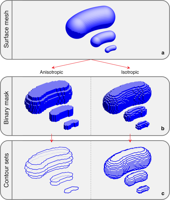 https://media.springernature.com/m685/springer-static/image/art%3A10.1038%2Fs41597-022-01715-6/MediaObjects/41597_2022_1715_Fig1_HTML.png