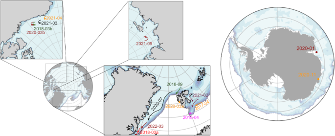 A dataset of direct observations of sea ice drift and waves in ice