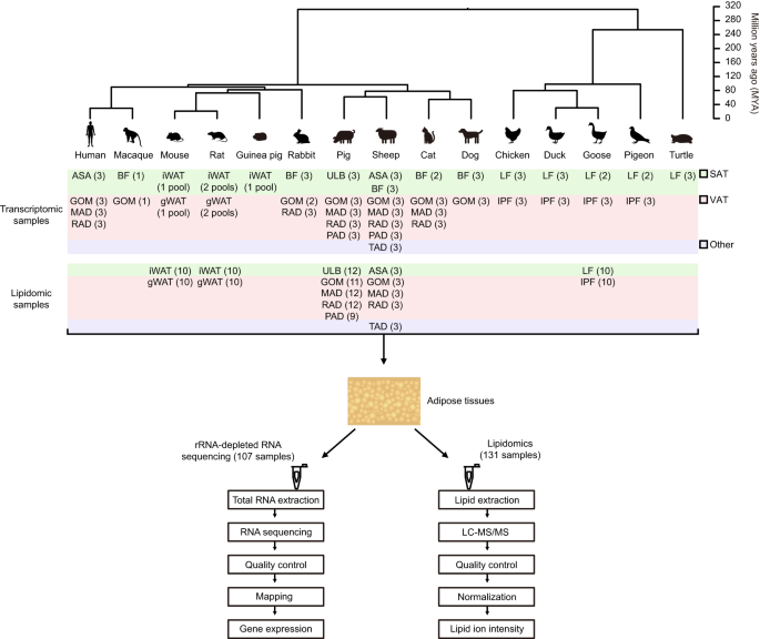feature-image