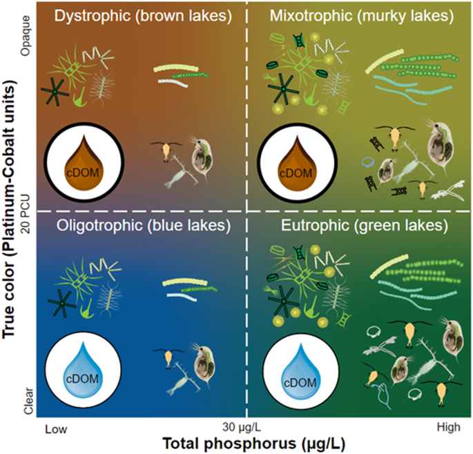 National-scale remotely sensed lake trophic state from 1984 