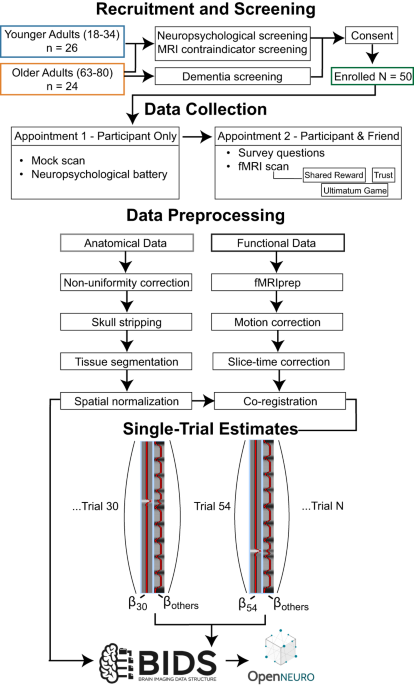 An fMRI Dataset on Social Reward Processing and Decision Making in 