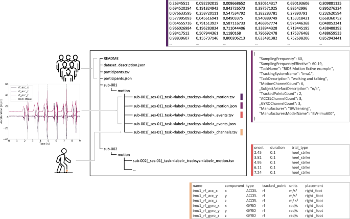 Motion-BIDS: an extension to the brain imaging data structure to ...