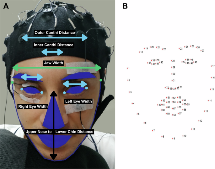 Dataset combining EEG, eye-tracking, and high-speed video for ocular ...