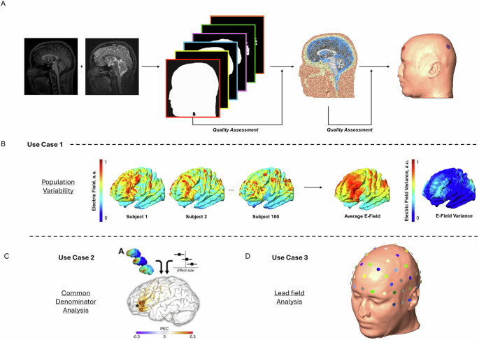 Head Area Model Human head models and populational framework for simulating brain ...