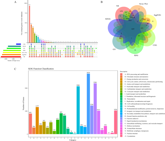 De novo transcriptome assembly and annotation of the semi-wild Gayal ...