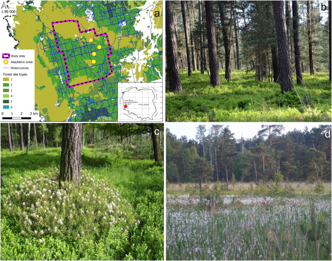 Integrated data on the taxon and morpho-specific year-round diet and endozoochorous seed dispersal by the world’s largest grouse, the Capercaillie Tetrao urogallus Integrated data on the taxon and morpho-specific year-round diet and endozoochorous seed dispersal by the world’s largest grouse, the Capercaillie Tetrao urogallus