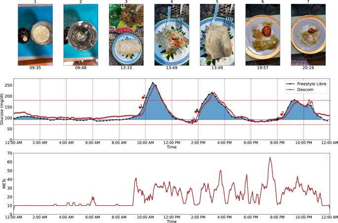 CGMacros: a pilot scientific dataset for personalized nutrition and diet monitoring
