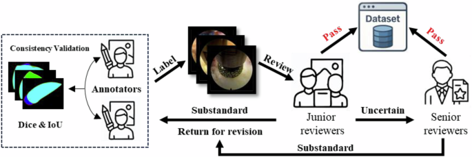 Spine endoscopic atlas: an open-source dataset for surgical instrument segmentation