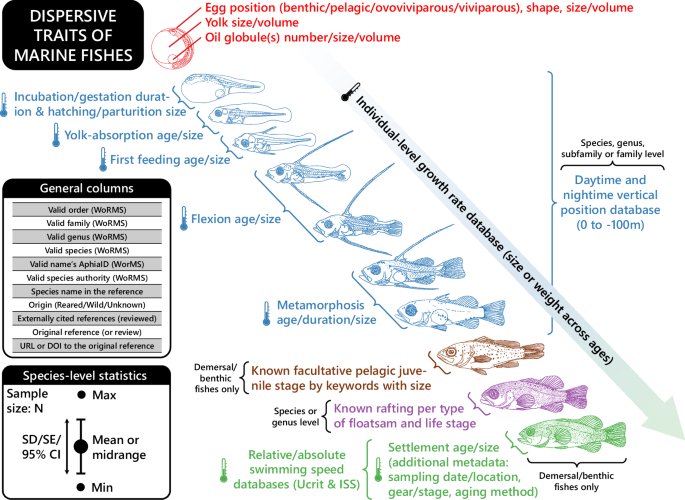 Global pelagic dispersal traits datasets for early-life stages of marine fishes - Scientific Data