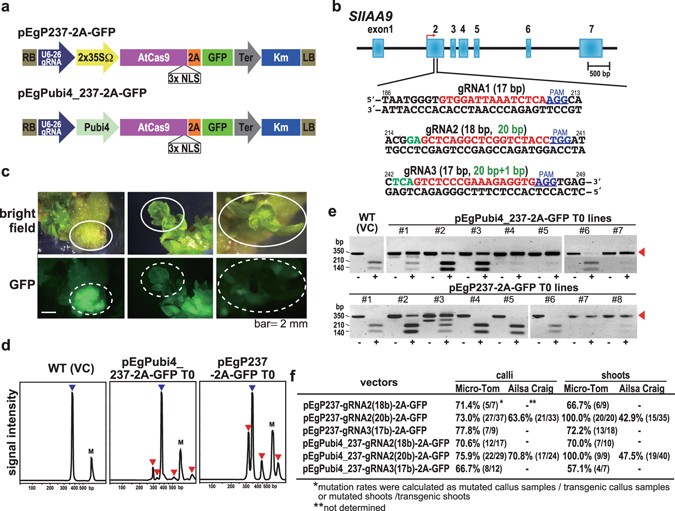 Nature Com Scientific Reports Nature Com Scientific Reports