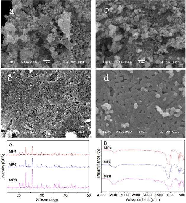 Effects of sintering temperature on surface morphology/microstructure ...