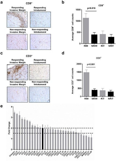 Indicators Of Responsiveness To Immune Checkpoint Inhibitors Scientific Reports