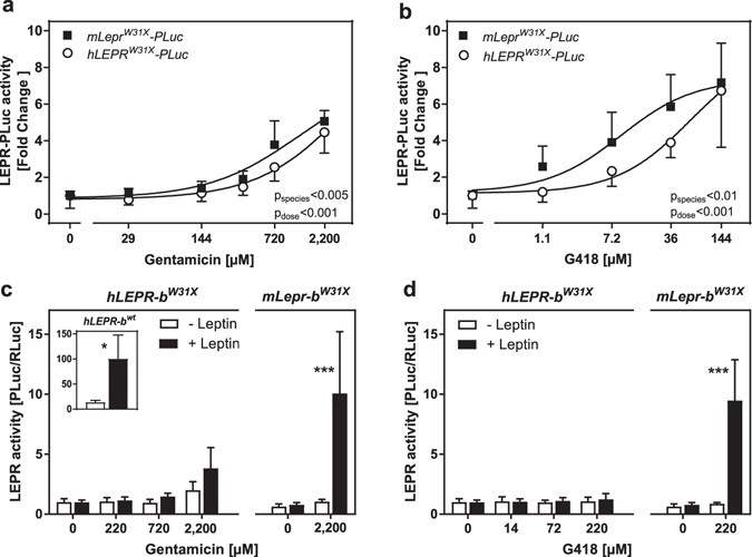 Aminoglycosides, but not PTC124 (Ataluren), rescue 