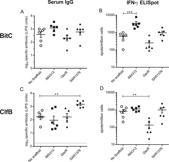 The S . aureus 4-oxalocrotonate tautomerase SAR1376 enhances immune ...