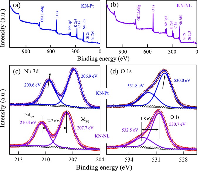 Exploring optoelectronic properties and mechanisms of layered