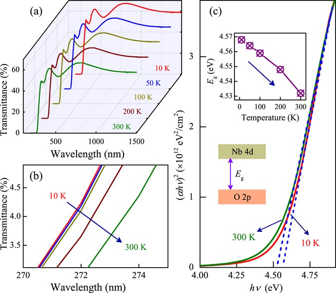Exploring optoelectronic properties and mechanisms of layered