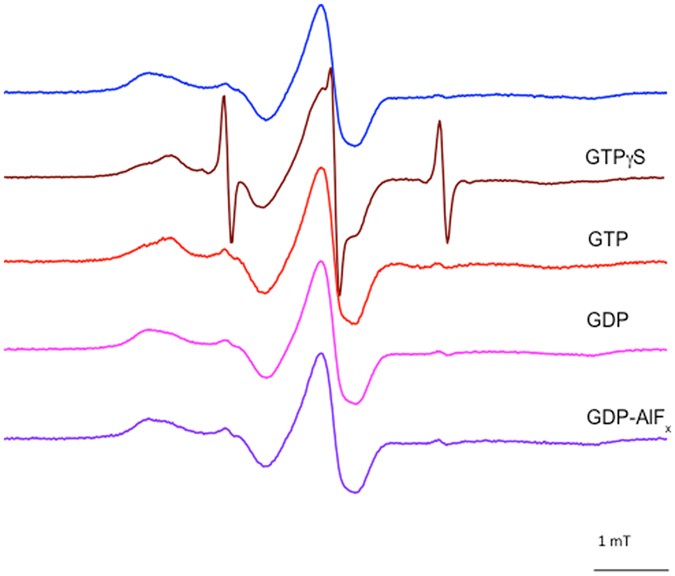 Identifying conformational changes with site-directed spin labeling ...