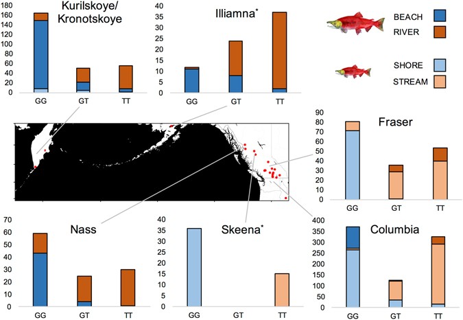 Genetic and Ecological Divergence Defines Population Structure of Sockeye  Salmon Populations Returning to Bristol Bay, Alaska, and Provides a Tool  for Admixture Analysis - Habicht - 2007 - Transactions of the American