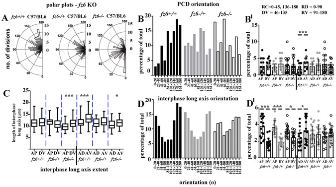 a role for core planar polarity proteins in cell contact mediated
