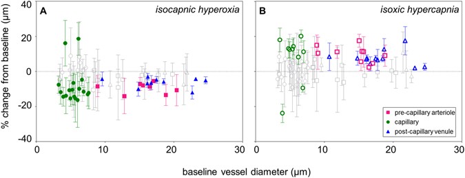 Frontiers  Retinal Vessel Responses to Flicker Stimulation Are