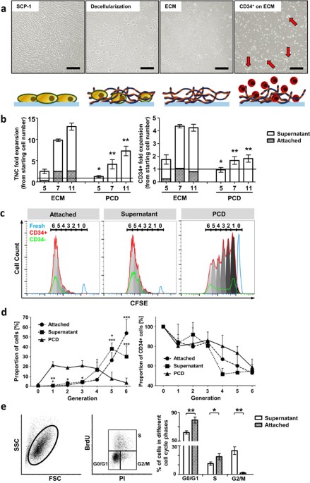 Bone Marrow Niche Mimetics Modulate Hspc Function Via Integrin Signaling Scientific Reports