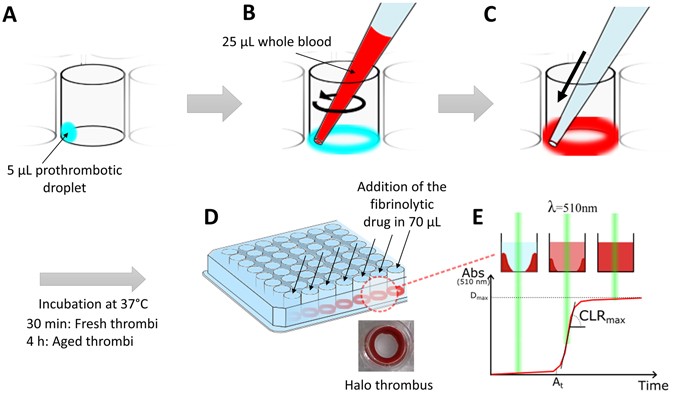 test blood clotting of validation high Development of throughput and whole a