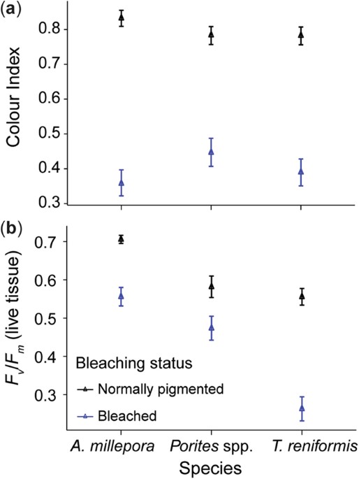 Cumulative Impacts Thermally Bleached Corals Have Reduced Capacity To Clear Deposited Sediment Scientific Reports