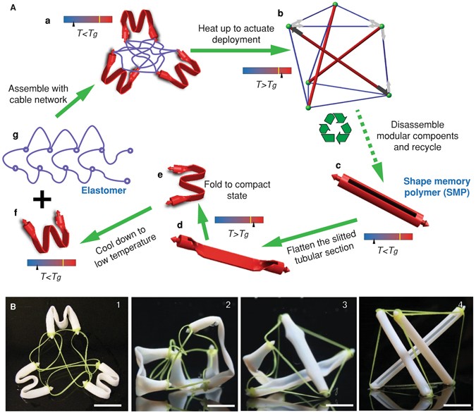 Programmable Deployment of Tensegrity Structures by Programmable Deployment of Tensegrity Structures by