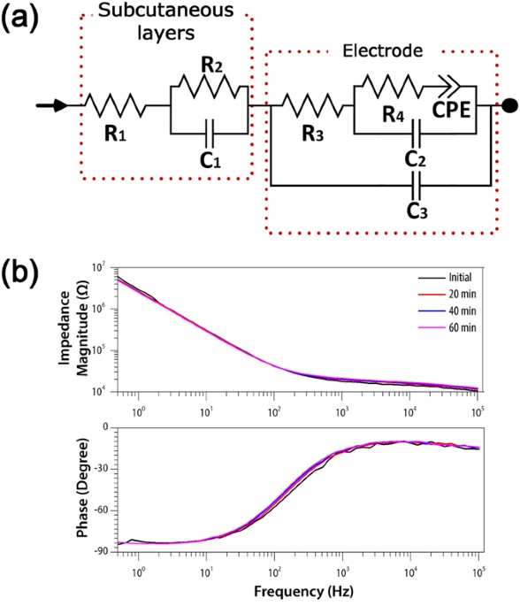 Zebrafish as an animal model in epilepsy studies with multichannel EEG recordings Scientific