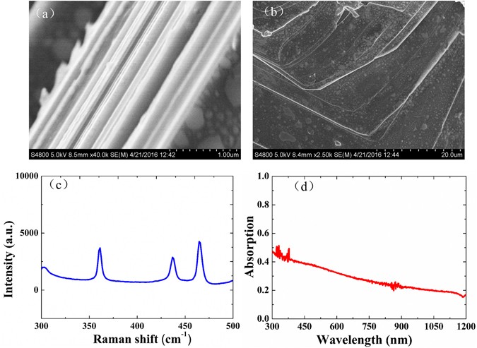 Ultrafast nonlinear optical response in solution dispersions of black phosphorus