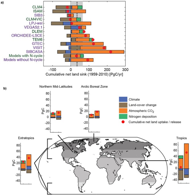 Uncertainty In The Response Of Terrestrial Carbon Sink To