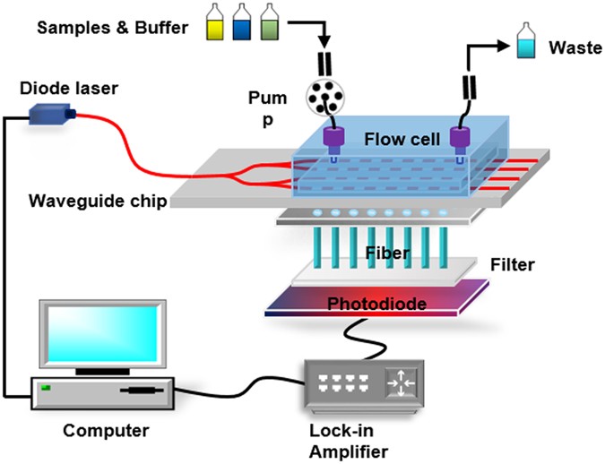 Integrated optical waveguidebased fluorescent immunosensor for fast