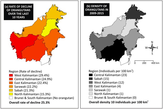 First Integrative Trend Analysis For A Great Ape Species In Borneo Scientific Reports