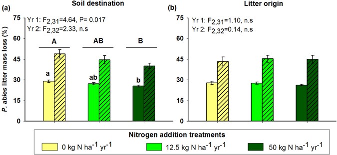 Nitrogen enrichment impacts on boreal litter decomposition are driven by changes in soil microbiota rather than litter quality | Scientific