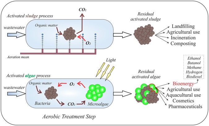 Nature Of Treatment Nature Of Treatment