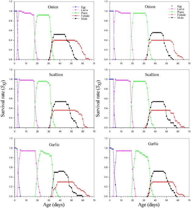 Development Of Insect Life Tables Comparison Of Two Demographic Methods Of Delia Antiqua Diptera Anthomyiidae On Different Hosts Scientific Reports