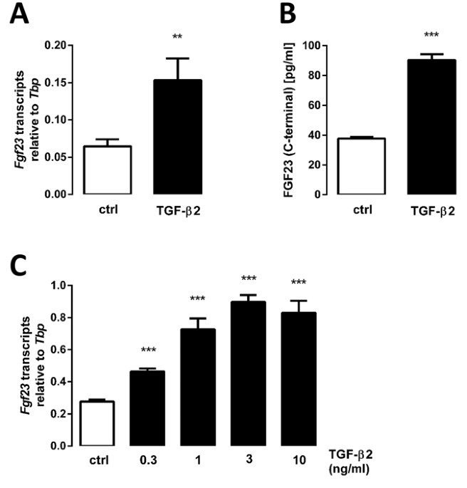 The Production Of Fibroblast Growth Factor 23 Is Controlled By Tgf B2 Scientific Reports