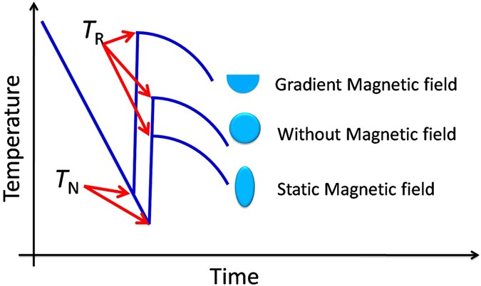 Strong magnetic field effect on the nucleation of a highly undercooled ...