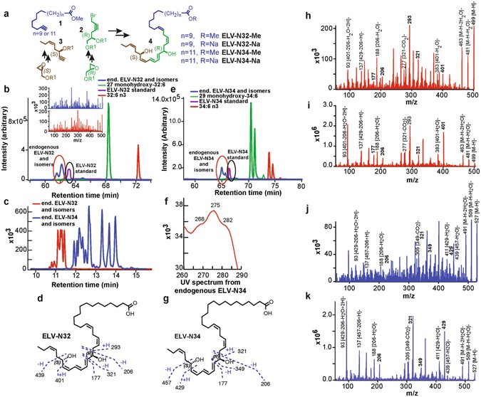 Elovanoids are novel cell-specific lipid mediators necessary for neuroprotective signaling for photoreceptor cell integrity