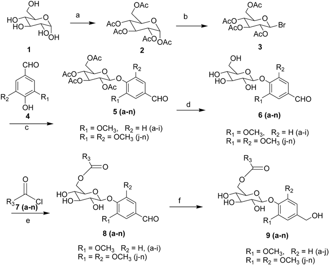 Synthesis Of Saccharumoside B Analogue With Potential Of Antiproliferative And Pro Apoptotic Activities Scientific Reports