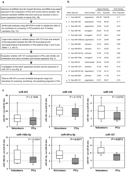 Depleted Tumor Suppressor Mir 107 In Plasma Relates To Tumor Progression And Is A Novel Therapeutic Target In Pancreatic Cancer Scientific Reports