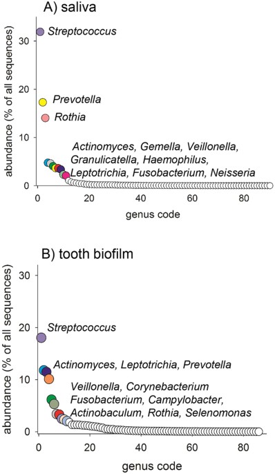 Saliva and tooth biofilm bacterial microbiota in adolescents in a low caries community