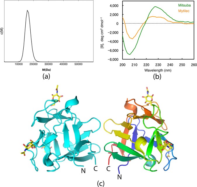 Computational Design Of A Symmetrical B Trefoil Lectin With Cancer Cell Binding Activity Scientific Reports