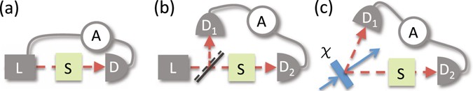 Demonstrating an absolute quantum advantage in direct absorption measurement