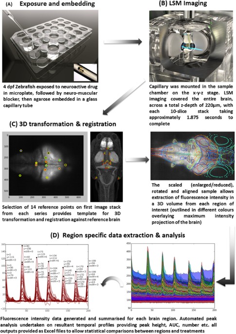 Mind-Body Optimization, Range of Intensity