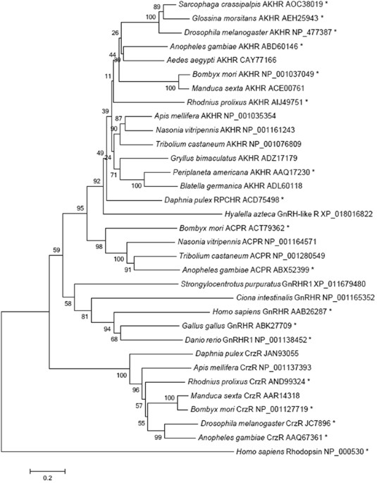 Ацп Для Themega Ацп Для Themega