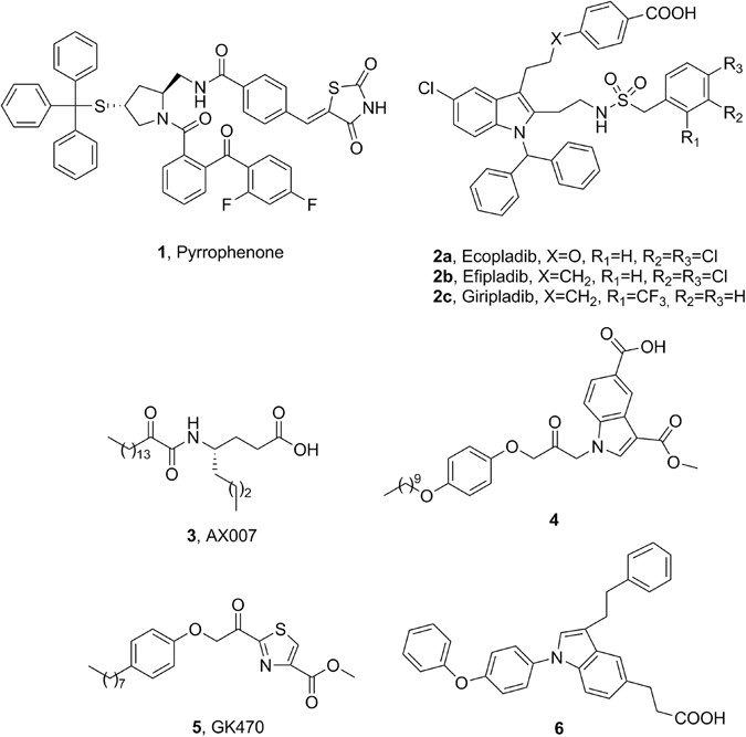 2 Oxoesters A Novel Class Of Potent And Selective Inhibitors Of Cytosolic Group Iva Phospholipase A 2 Scientific Reports