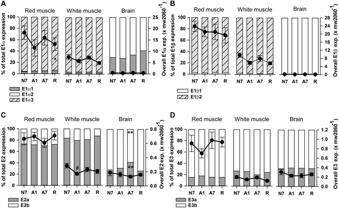 anoxia tolerance Role of trehalose phosphate synthase in anoxia tolerance and development in drosophila melanogaster and this was associated with increased tolerance to anoxia. anoxia tolerance Role of trehalose phosphate synthase in anoxia tolerance and development in drosophila melanogaster and this was associated with increased tolerance to anoxia.
