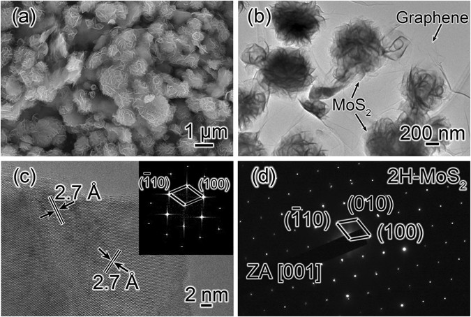 Lithium Ion Battery >> Direct Studies on the Lithium-Storage Mechanism of Molybdenum Disulfide | Scientific Reports Lithium Ion Battery >> Direct Studies on the Lithium-Storage Mechanism of Molybdenum Disulfide | Scientific Reports