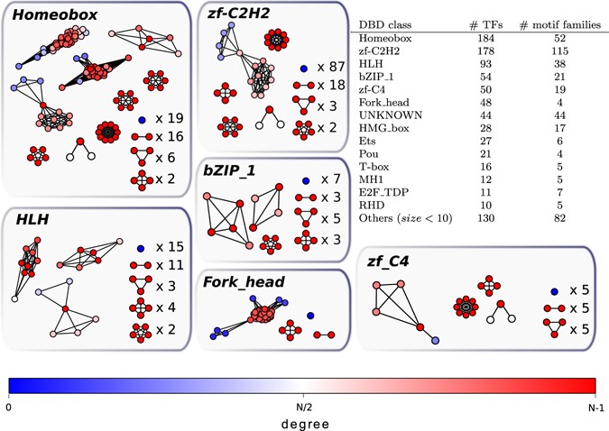 Modelling the evolution of transcription factor binding preferences in complex eukaryotes
